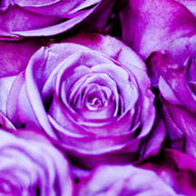 云办公平台的免费攻击网站